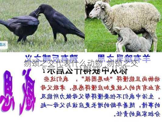 刎颈之交代表什么动物_刎颈之交