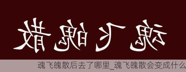 魂飞魄散后去了哪里_魂飞魄散会变成什么