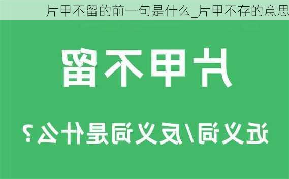 片甲不留的前一句是什么_片甲不存的意思