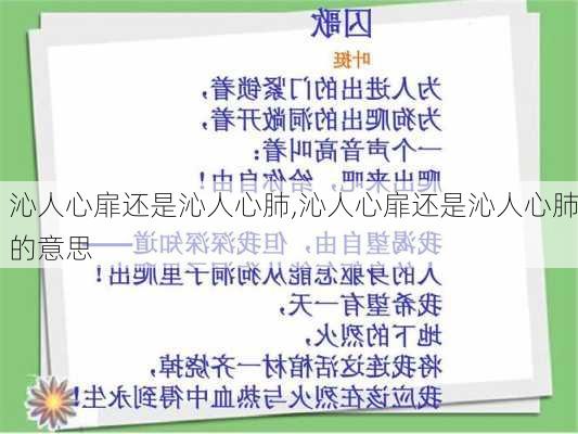 沁人心扉还是沁人心肺,沁人心扉还是沁人心肺的意思