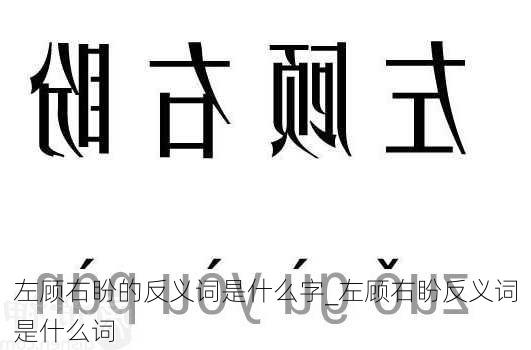 左顾右盼的反义词是什么字_左顾右盼反义词是什么词