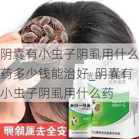 阴囊有小虫子阴虱用什么药多少钱能治好_阴囊有小虫子阴虱用什么药