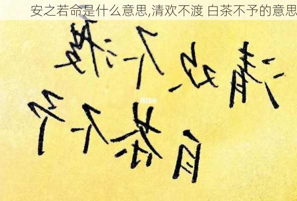 安之若命是什么意思,清欢不渡 白茶不予的意思