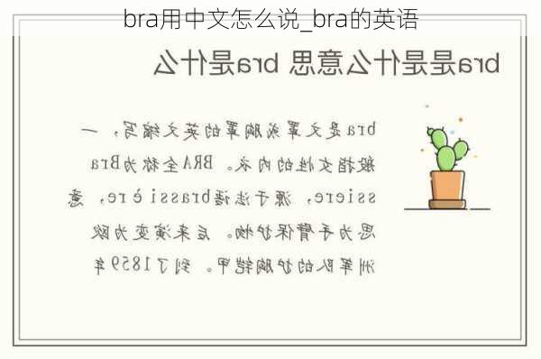 bra用中文怎么说_bra的英语