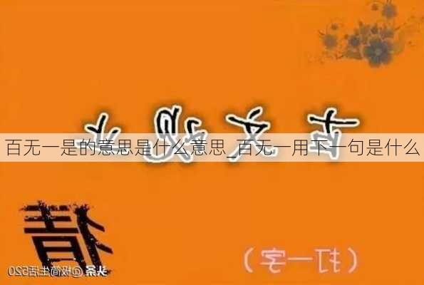 百无一是的意思是什么意思_百无一用下一句是什么