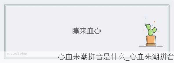心血来潮拼音是什么_心血来潮拼音