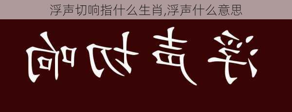 浮声切响指什么生肖,浮声什么意思