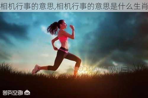 相机行事的意思,相机行事的意思是什么生肖