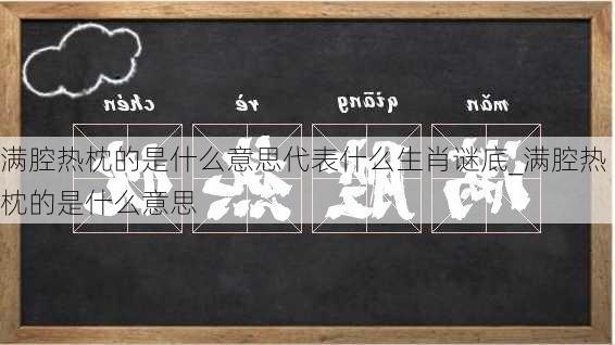 满腔热枕的是什么意思代表什么生肖谜底_满腔热枕的是什么意思