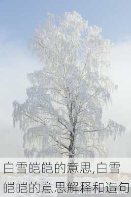 白雪皑皑的意思,白雪皑皑的意思解释和造句