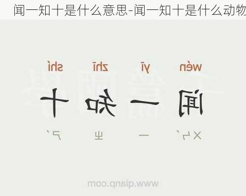 闻一知十是什么意思-闻一知十是什么动物